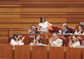 Sólo el PSOE vota 'no' en las Cortes de Castilla y León a recuperar las frecuencias del AVE