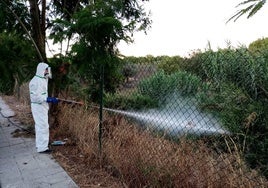 La Junta realizó 91 verificaciones contra el Virus del Nilo en abril en Córdoba