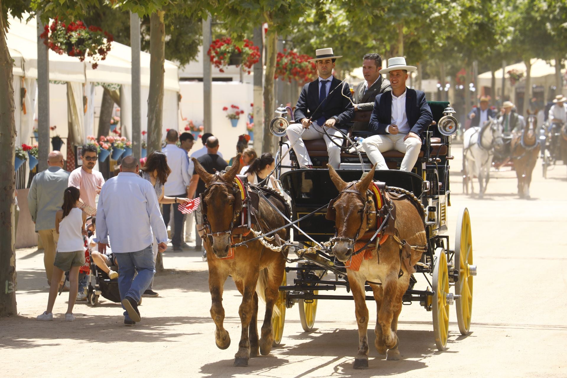 El ambiente del Jueves de Feria en Córdoba, en imágenes