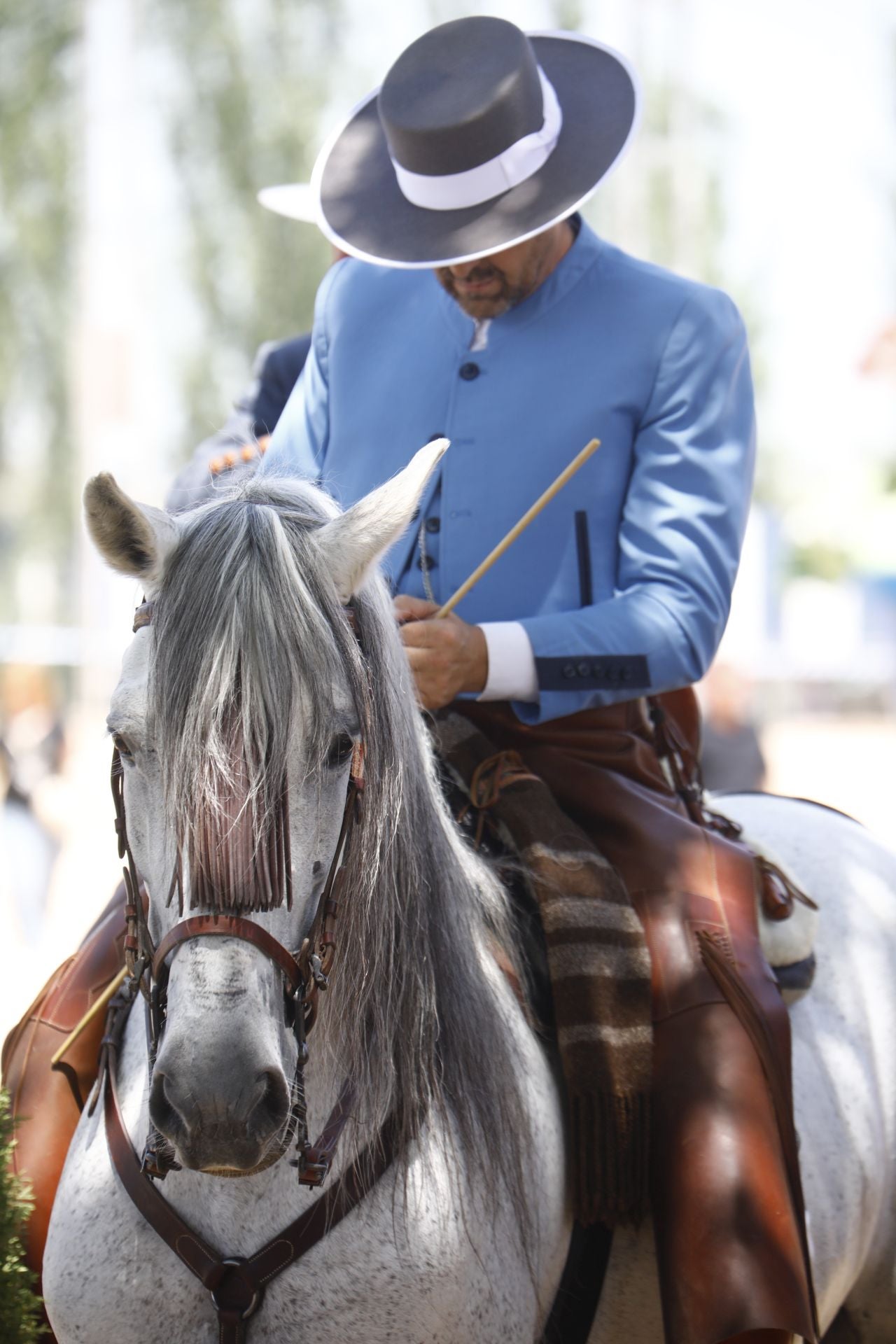 El ambiente del Jueves de Feria en Córdoba, en imágenes