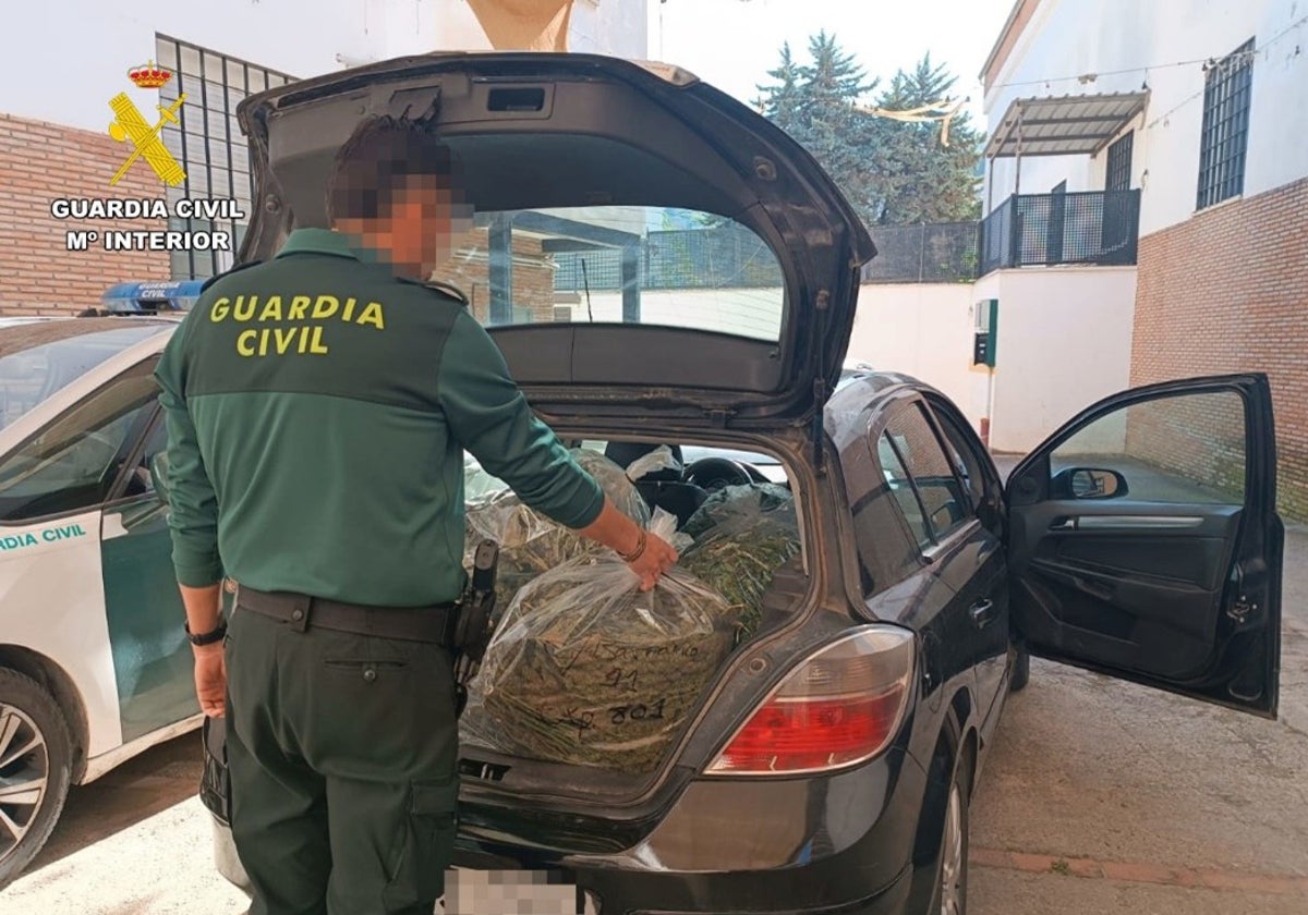 El maletero, cargado con bolsas de marihuana