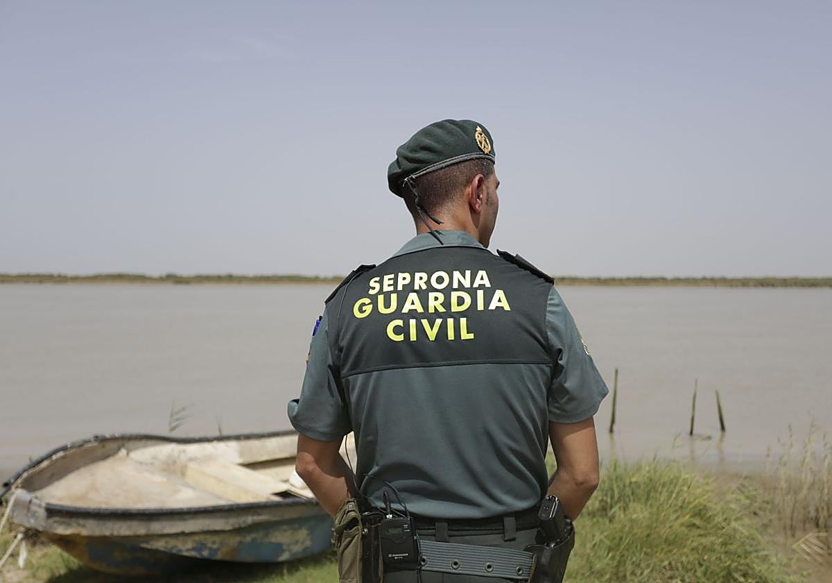 Un agente del Servicio de Protección de la Naturaleza (Seprona) de la Guardia Civil