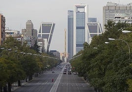 El mapa del polen en Madrid, árbol a árbol: así se distribuyen las especies que disparan tus alergias