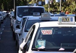 Nuevas ayudas para los taxis Eco y Cero, que son ya el 93% de la flota
