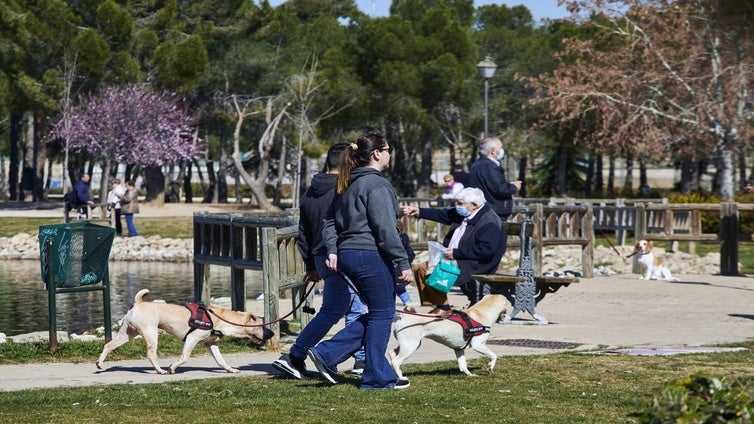 La Comunidad de Madrid advierte sobre el peligro de las picaduras de garrapatas que proliferan con la llegada del calor