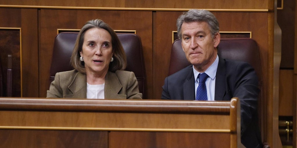 El pp pide movilizarse contra el aval del constitucional a la amnistía mientras vox les responsabiliza