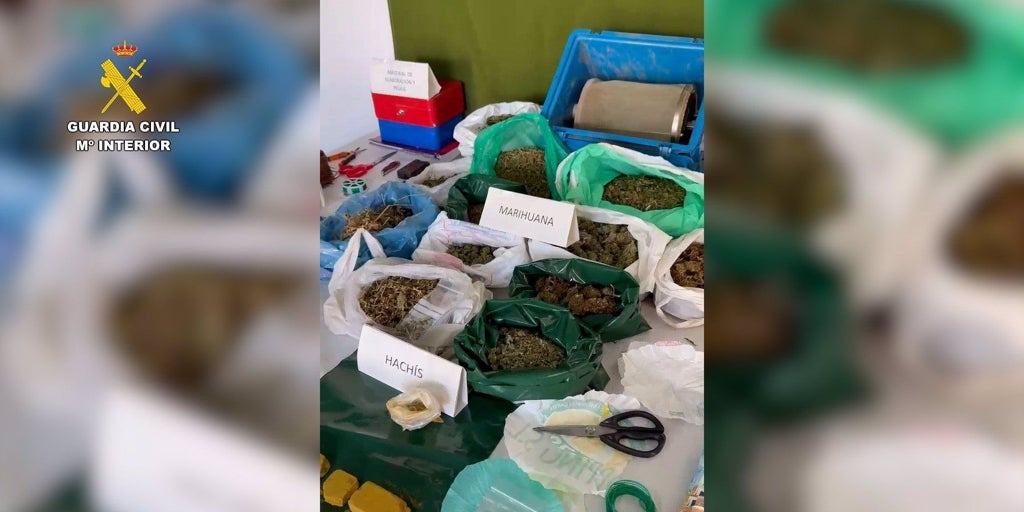 La guardia civil desarticula en villarrubia de los ojos un grupo criminal dedicado al cultivo y tráfico de drogas