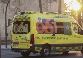 Muere un joven por heridas de bala en una pelea multitudinaria en Almería