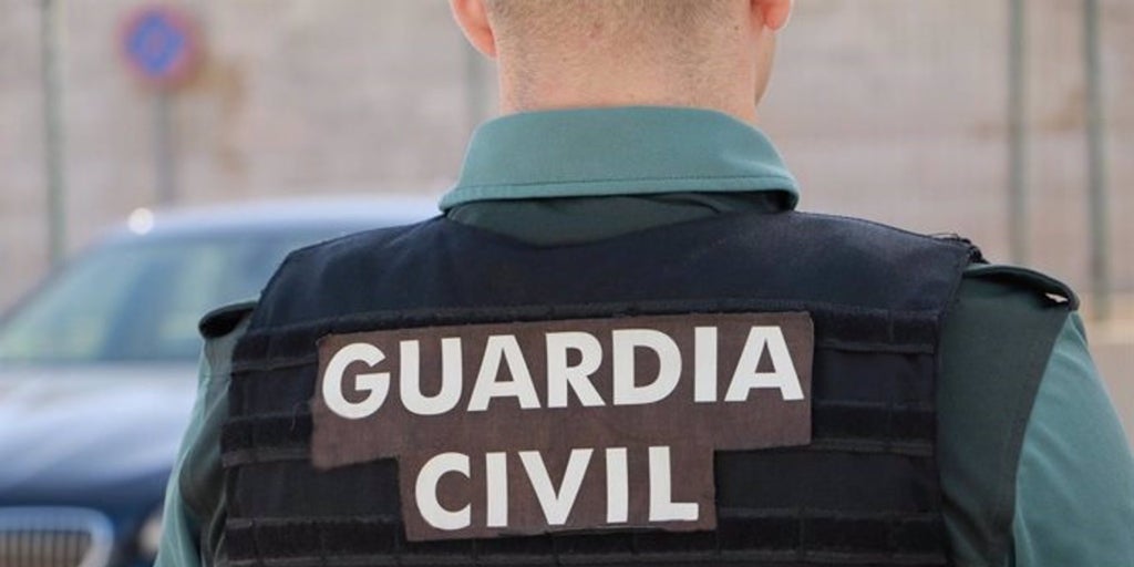 Cae una organización criminal de nueve personas dedicada al tráfico internacional de marihuana
