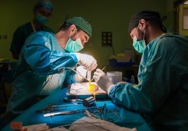 Un total de 209 donantes de órganos y 193 de tejidos han hecho posibles 793 trasplantes en Andalucía durante 2025