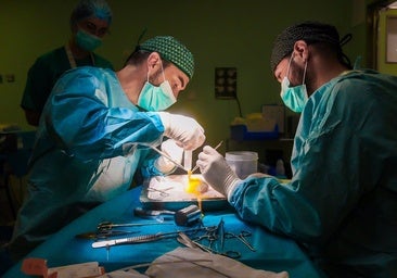 Un total de 209 donantes de órganos y 193 de tejidos han hecho posibles 793 trasplantes en Andalucía durante 2025
