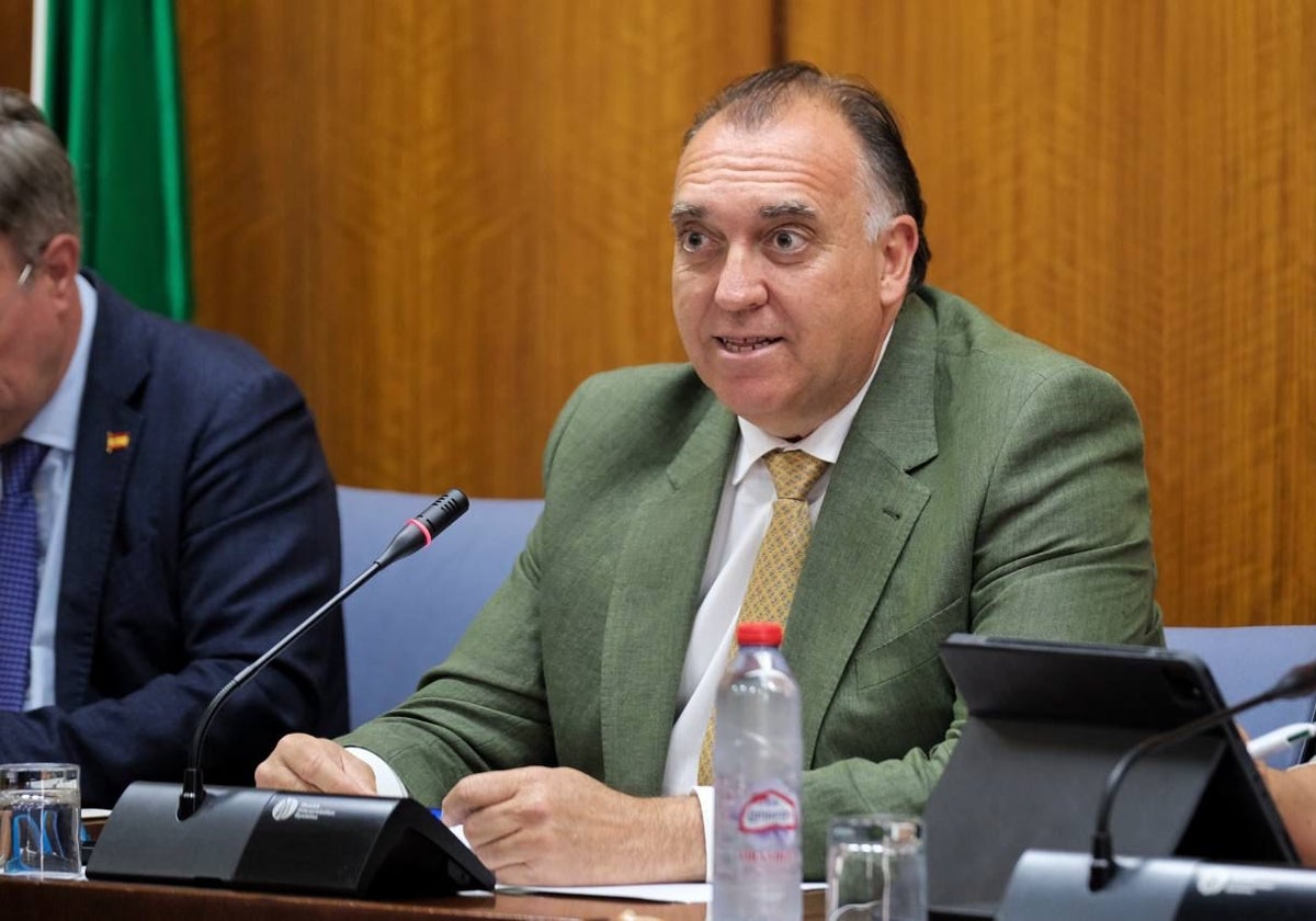 El consejero de Turismo, Arturo Bernal, en comisión parlamentaria