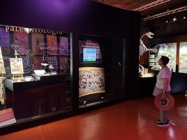El cráneo de estegosaurio más completo de Europa ya puede verse en el Museo Aragonés de Paleontología en Dinópolis