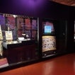 El cráneo de estegosaurio más completo de Europa ya puede verse en el Museo Aragonés de Paleontología en Dinópolis