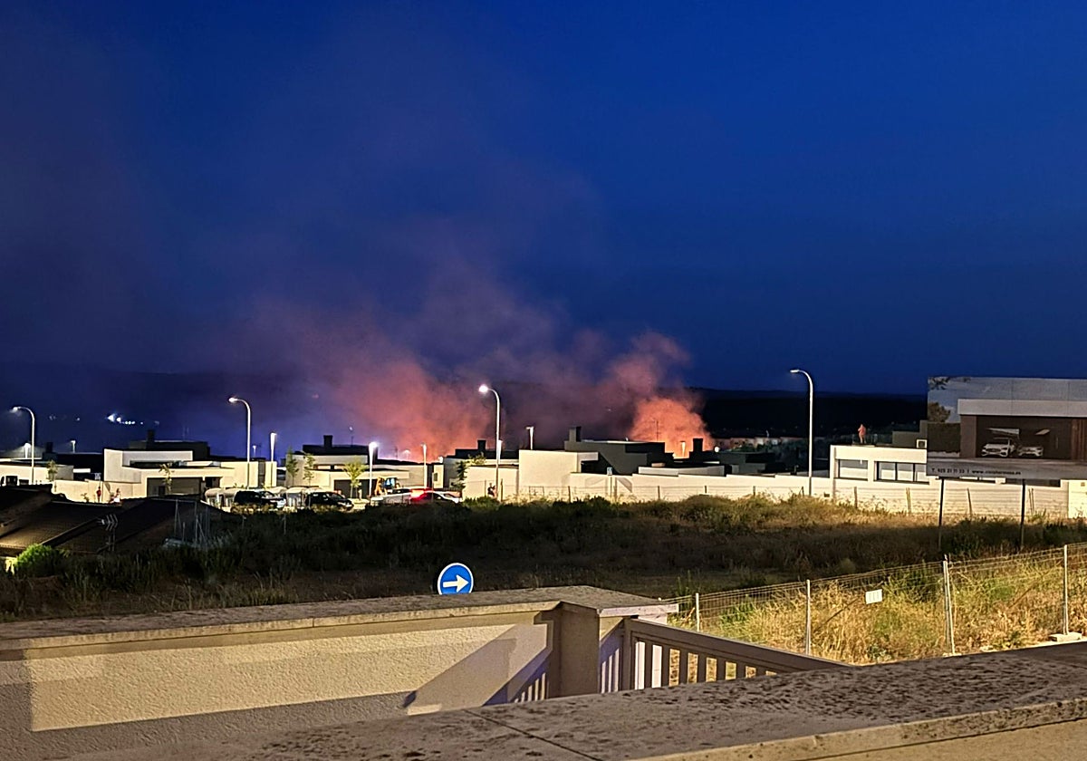 Las llamas estuvieron a punto de llegar a las viviendas