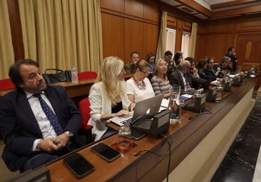 El Pleno exige, por unanimidad, al Gobierno central que ejecute la Variante Sur