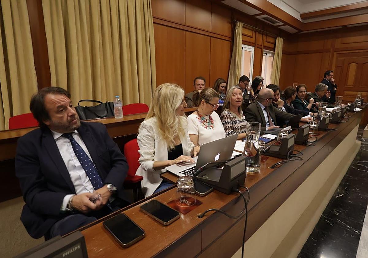 Un momento del Pleno que se celebra este jueves en el Ayuntamiento de Córdoba