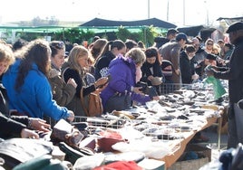Los ambulantes votarán trasladar el mercadillo en otra zona del Arenal por el Córdoba Live