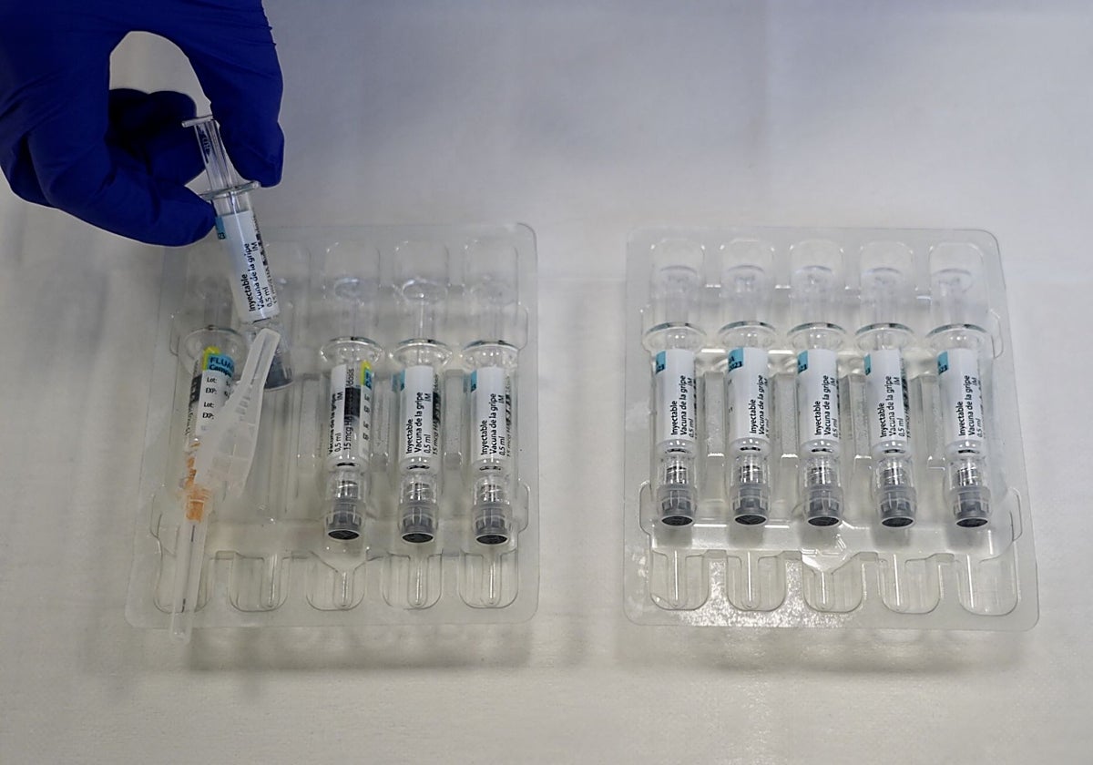Vacunas contra la gripe, en una imagen de archivo