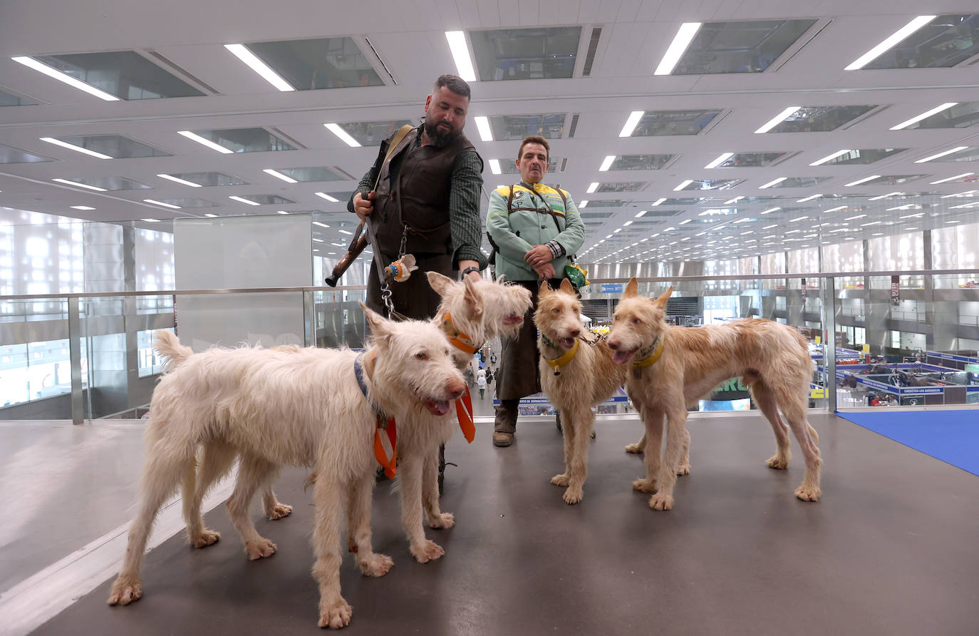 La inauguración de Intercaza en Córdoba, en imágenes