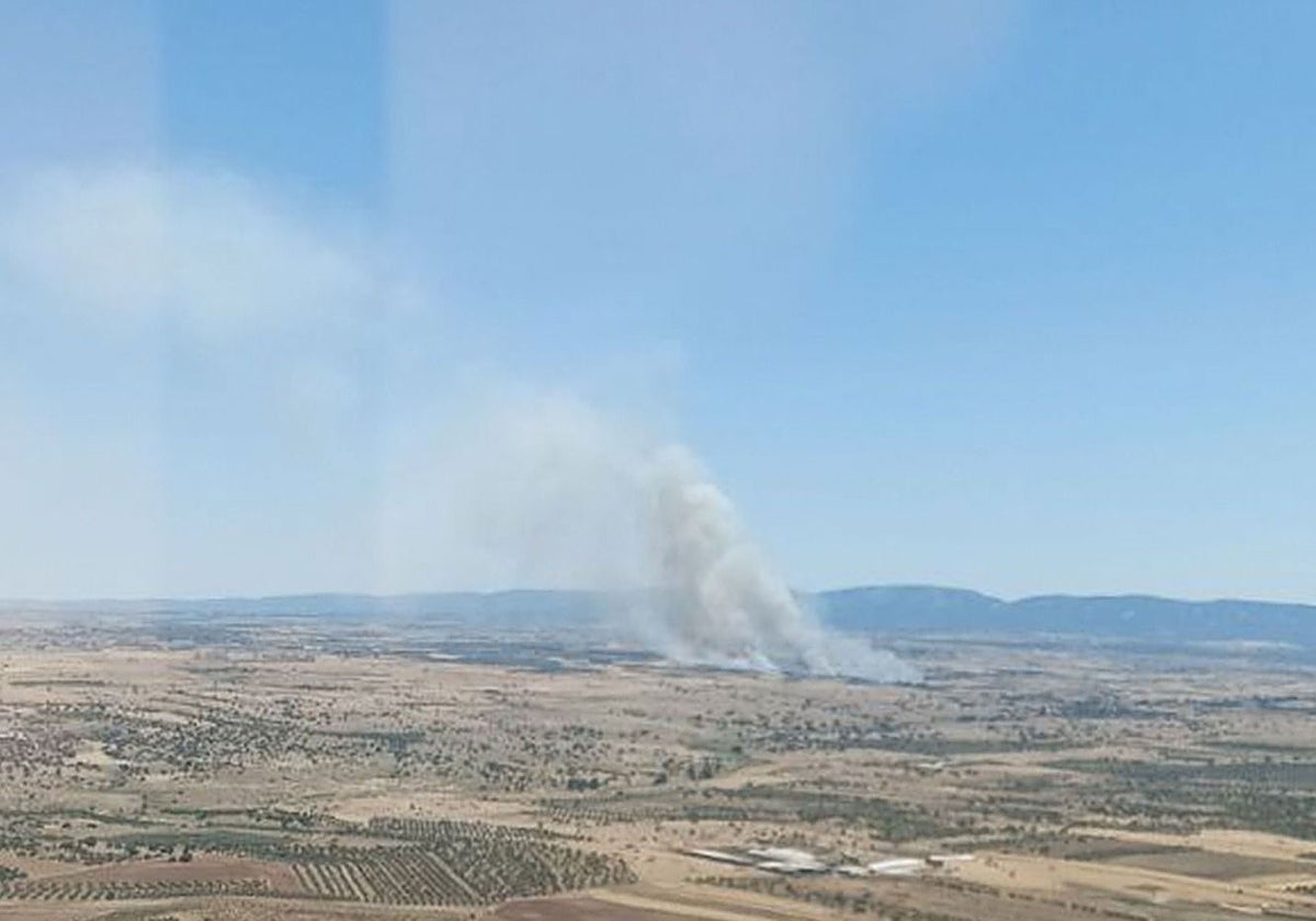 El incendio se declaró en una zona agrícola poco antes de las dos menos cuarto de hoy sábado