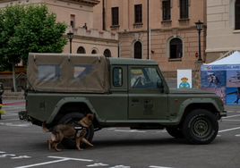 El cuartel del Bruch de Barcelona celebra el Día de las Fuerzas Armadas con gran exhibición de medios