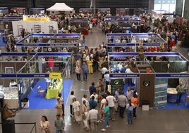 Rapaces, hurones, safaris, perros o embutidos: Intercaza se abre al público más familiar