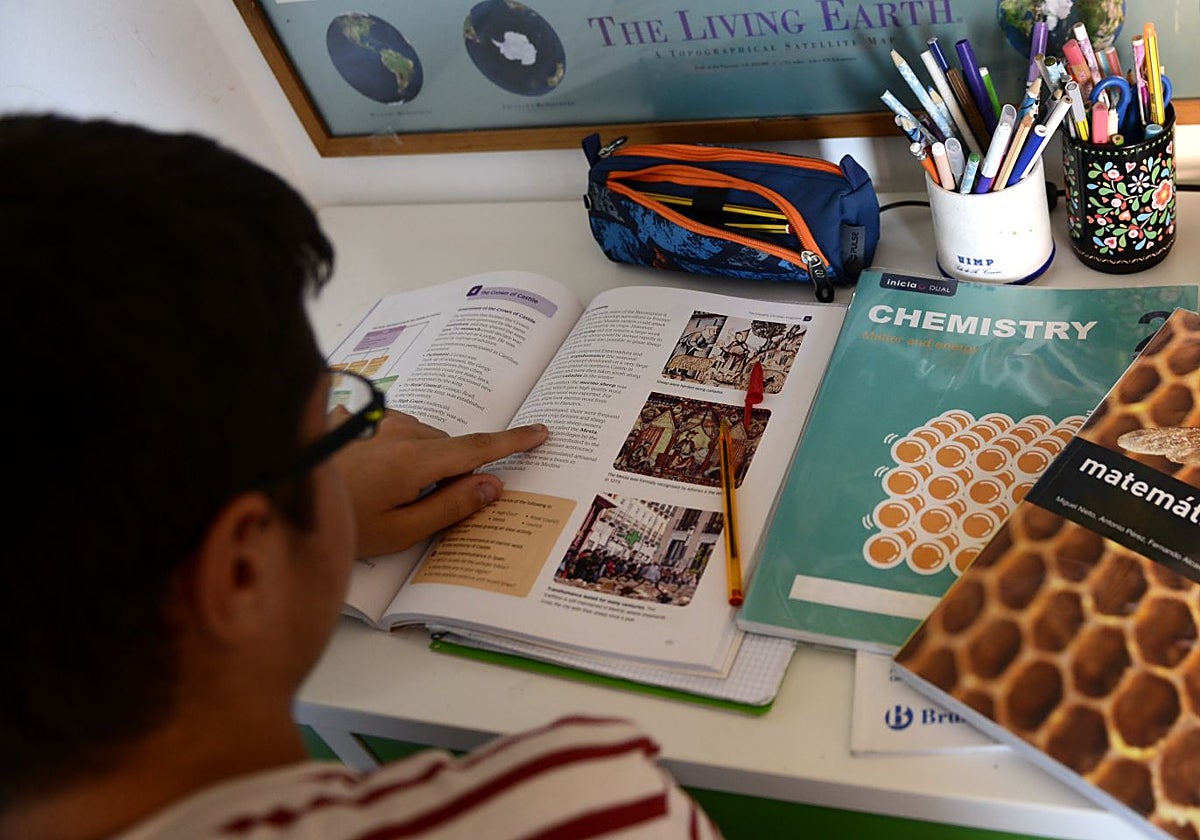 Un estudiante consulta sus libros de texto, en una imagen de archivo