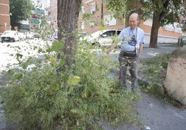 Puerto Chico, un barrio de Madrid que lucha para no seguir anclado en los ochenta
