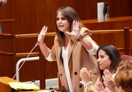 Junta y PSOE coinciden en reclamar elecciones para acabar con las «mafias»