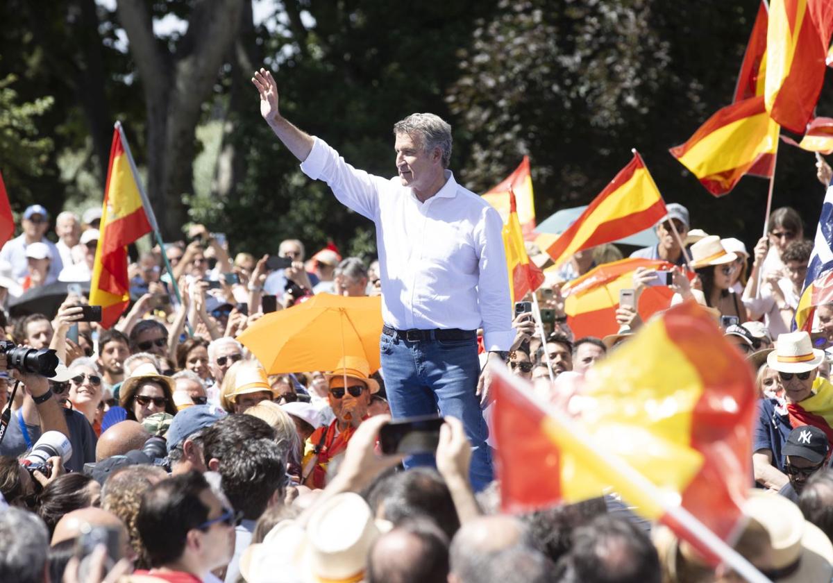 Alberto Núñez Feijóo, durante la concentración del pasado domingo en Madrid