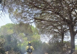 La alcaldesa de Puerto Real pide que investigue el incendio del lunes: «Presentaba veinte focos distintos»
