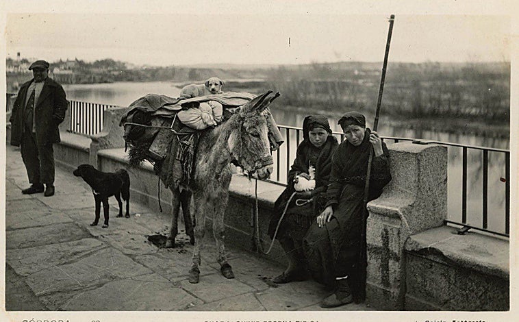 Imagen principal - Fotografías de cordobeses en la Ribera, de una ceremonia en la Catedral y de la torre de San Nicolás
