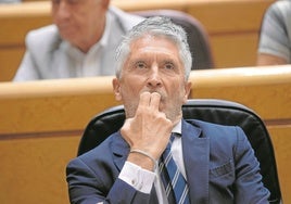 Marlaska dilata la comparecencia del policía que recogió ADN del imán del 17A