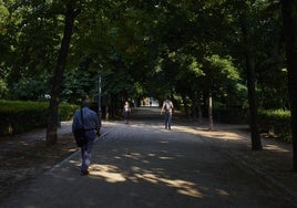 El 70% de las caídas de ramas y árboles en el Retiro se produjeron con alerta roja o naranja