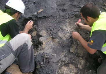 Descubren en Teruel el esqueleto más completo de Europa de una tortuga de hace 110 millones de años