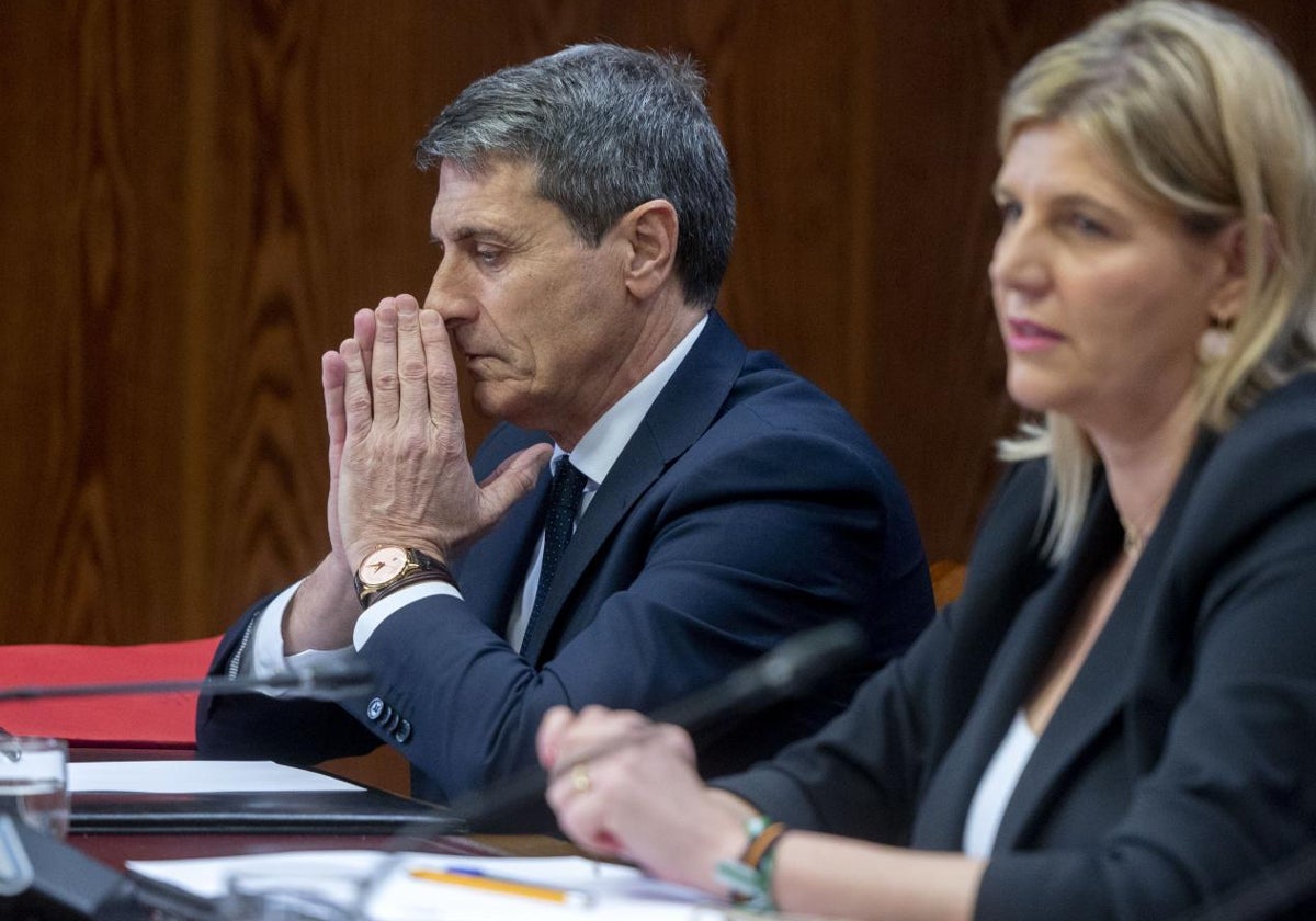 El delegado del Gobierno en Andalucía, Pedro Fernández Peñalver, en su comparecencia ante la comisión de investigación del 'caso Koldo' en el Senado el 27 de marzo de 2025
