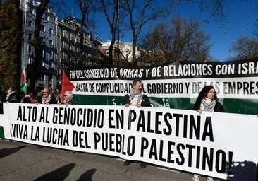 Organizaciones de Toledo convocan una marcha para exigir «el fin del genocidio» en Gaza