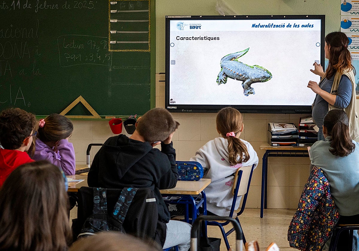 Imagen de una profesora impartiendo una clase de 'Naturalización de las Aulas'