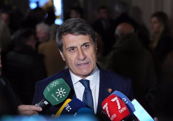 El delegado del Gobierno en Andalucía, Pedro Fernández
