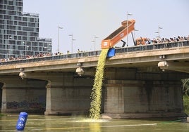 Espectacular suelta y carrera de 20.000 patos en el río Ebro