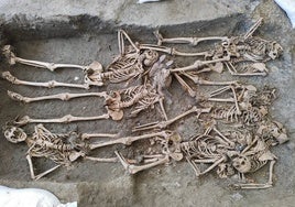 El Gobierno destina casi 616.000 euros a exhumar e identificar a víctimas de la Guerra Civil en Andalucía