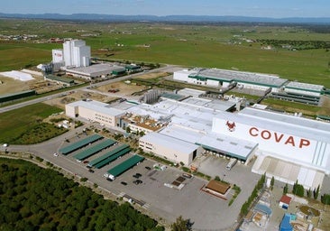 La caída del precio del aceite merma las ventas de las grandes cooperativas agrarias