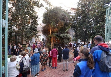 Un informe de la Universidad Loyola cifra en casi 47 millones de euros el impacto de Flora en Córdoba