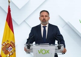 Anticorrupción archiva la investigación a Vox por financiación irregular