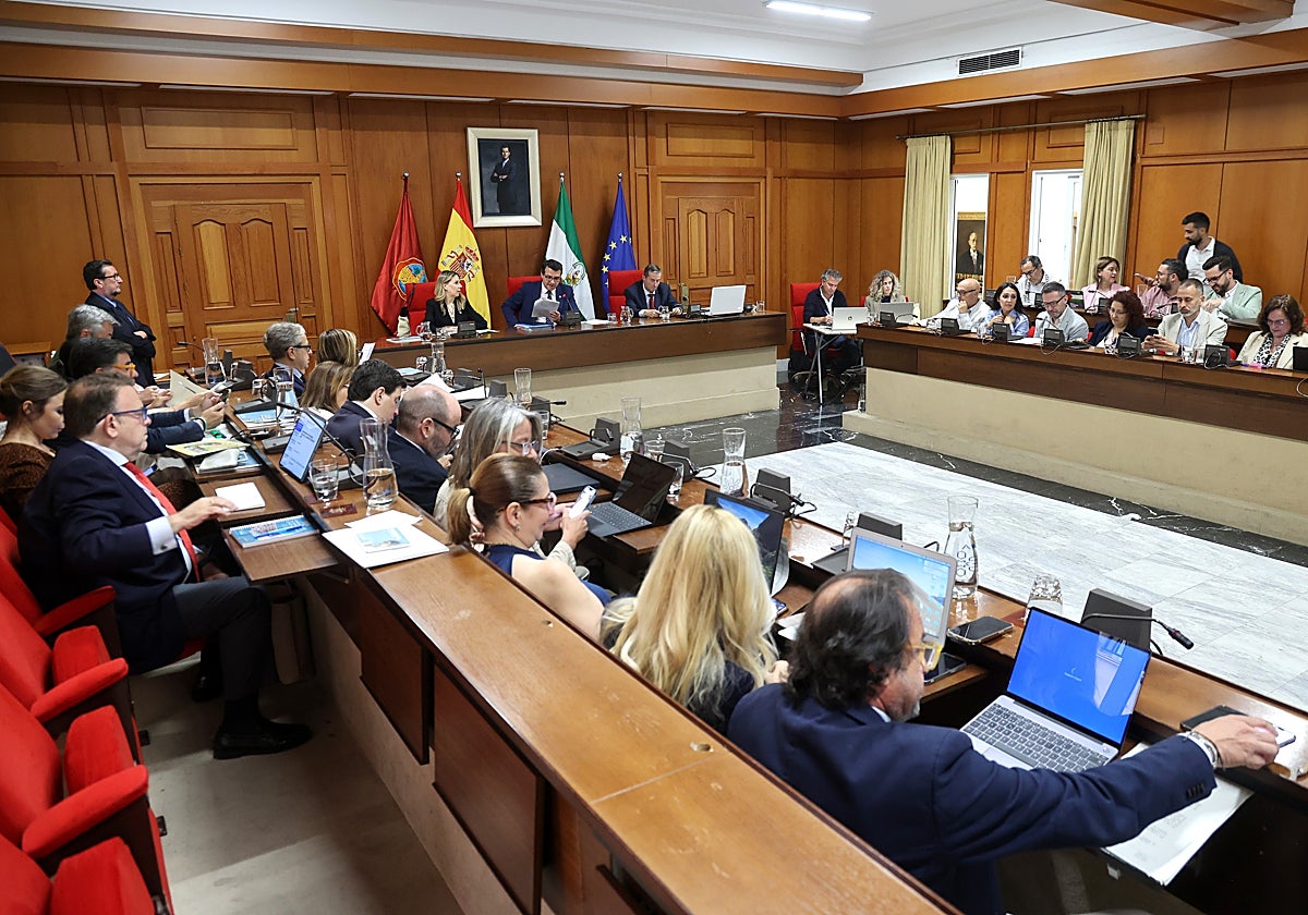 Pleno del Ayuntamiento de Córdoba