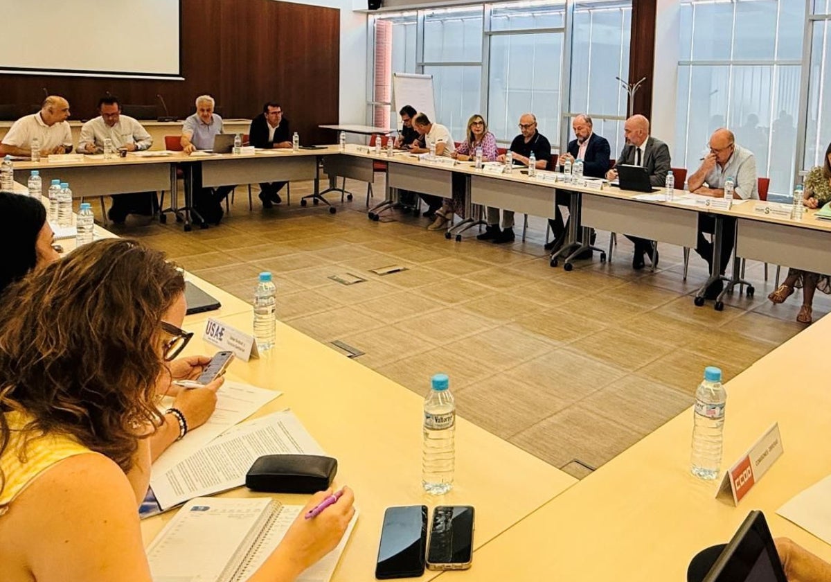Mesa Sectorial de las Instituciones Sanitarias del Sescam