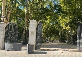 El Ayuntamiento Albacete activa el Platemun y cierra los parques ante el aviso de nivel amarillo de la Aemet