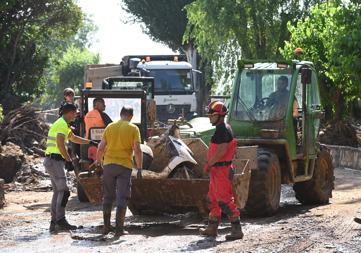 Agentes de la UME trabajan en Azuara desde el martes 17 de junio