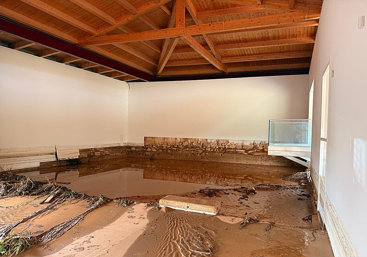 Estado en el que quedaron los mosaicos de la villa romana de La Malena, en Azuara